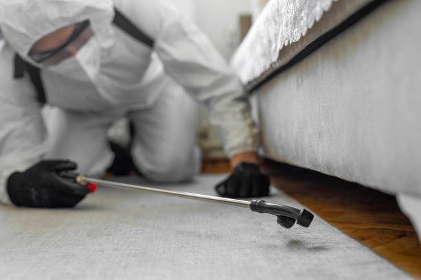 Professional Bed Bug Control technician working in Cambridge, WI